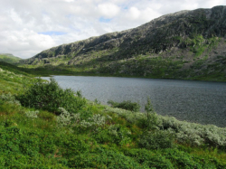 Der Orrekvatnet liegt idyllisch eingebettet zwischen den steil aufragenden Bergen des Sklett- und Bleikarfjellets. Am Ostufer liegen schne Zeltpltze in einer Wiese.