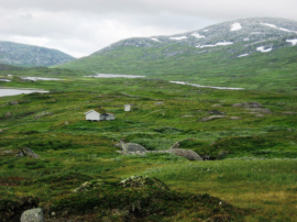Die graue Hütte am Jengelvatnet ist in der Saison von Anglern und Jägern zumeist ausgebucht. 