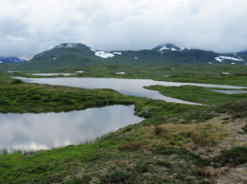 Die parkhnliche und liebliche Landschaft am Litle Kjukkelvatnet bietet einen unbeschwerten Einstieg in die weglose Tour