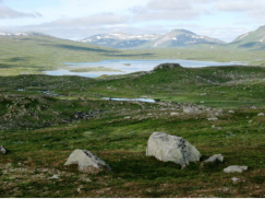 Blick zurck zum Gaukarvatnet