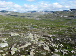 Blick in das steinige Tal des Viermaelva beim Aufstieg zum Gæivenåsen