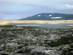 Das Ufer des Rantsvatnet ist von groen Granitblcken berst