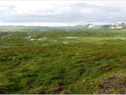 Weitlufige Wiesen- und Seenlandschaft am Biseegelva