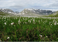 Am sdlichen Biseggvatnet hat man im sdlichen Uferbereich einen berwltigenden Blick in die angrenzenden Berge