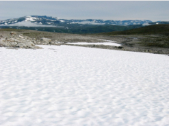 Auch das obere Tverrdalen prsentiert eine abweisende und vegetationsarme Felslandschaft.