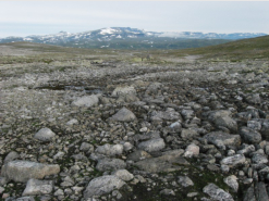 Der Weg hinab zum Simskardelav ist nicht gerade Balsam fr die Fsse