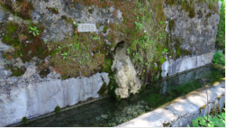 Brunnen kurz hinter Bayır