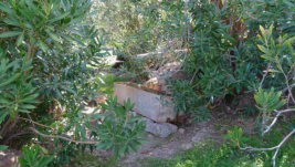 Kleiner Brunnen im Aufstieg hinter Bozburun