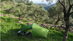 und hier mein Zeltplatz im Olivenhain in Nhe der Quelle