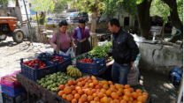 Lecker! Frisches Obst und Gemse am Markt in omakdağ.