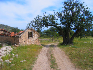 bei Gavurağılı