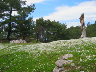 Am Pass zwischen Adrasan und Olympos