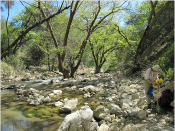 Flussquerung vor Ulupınar. Im Mrz war das Wasser mehr als kniehoch