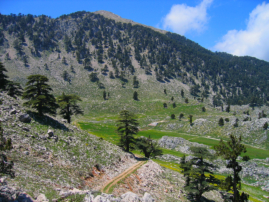 Sommerweide - nach der Passüberschreitung am Tahtalı Daği