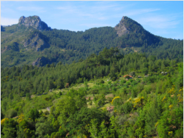 Blick hinber nach Gynk Yaylası