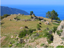 Aussichtspunkt bei Alınca. Der Pfad rechts ins Tal startet etwas weiter des Wegs.