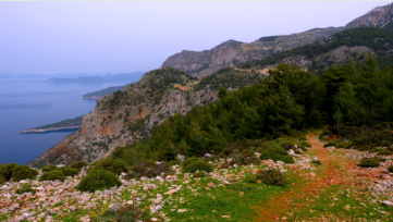 Blick zurück auf die Küste Richtung Alınça