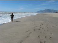 Traumhafter Sandstrand in Patara, den man - kaum zu glauben - oft ganz fr sich alleine hat