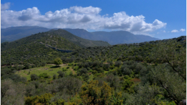 Zwischen Akbel und Patara. Mit Blick auf das beeindruckende rmische Aqudukt