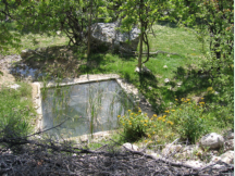 Basin mit kleiner Quelle. Man sollte das Wasser vorsichtshalber trotzdem reinigen