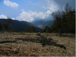 Mittags zieht ber den Bergen ein Gewitter auf - wenig spter gerate ich in einen krftigen Hagelschauer