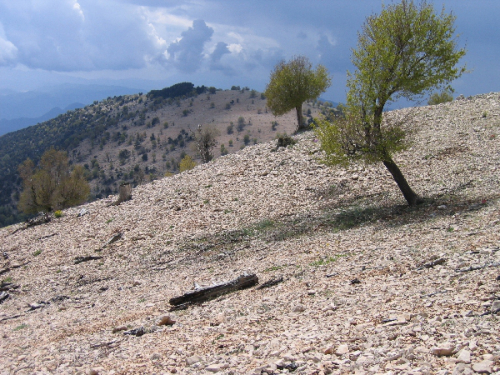 Gewitterwolken ber Zeytin