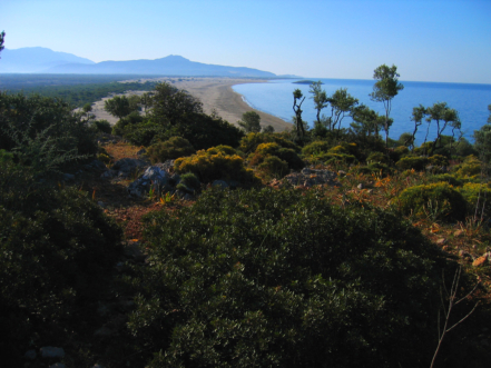 Strand von Patara bei Pydnai