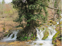 Der Aksu-Fluss - oberhalb befindet sich die Ruine einer alten Mhle