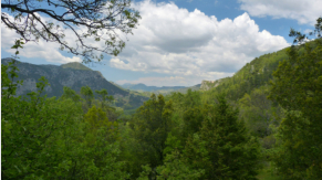 trotz Wald hat man immer wieder schne Aussicht