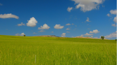 im spten Frhling (Anfang Juni) ist die Landschaft ziemlich reizvoll