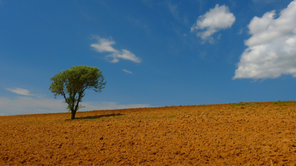 Die Farben von Himmel und Erde hinter Scll