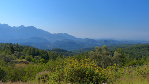 bei Pednelissos hat man einen tollen Ausblick Richtung Kste