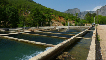 Aufzuchtbecken einer Fischfarm hinter andır