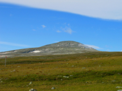 Am Pass auf 1100 Meter Hhe ist die Vegetation auf magere Grasflchen reduziert