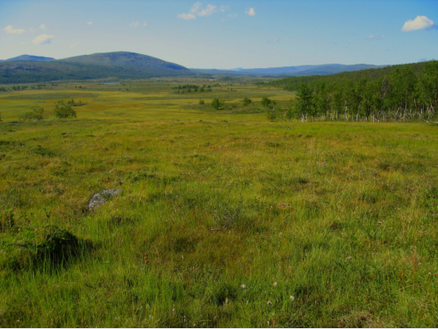 Blick ins obere Vindeldalen