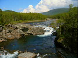 Herrlicher Flusslauf