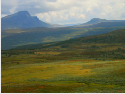Im Westen überragt der Gebirgszug Sytertoppen mit 1768 Metern die Tundra