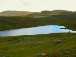 Die Landschaft hat teils einen parkhnlichen Charakter