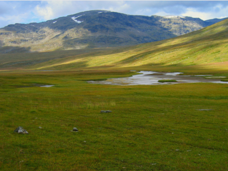Kontraste im Syterskalet: der graufelsige Bergrcken des Dulkotjkke fllt zu grnen Feuchtwiesen ab