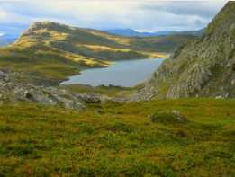 Auch weglos kann man in Saltfjell auf Erkundungstour gehen